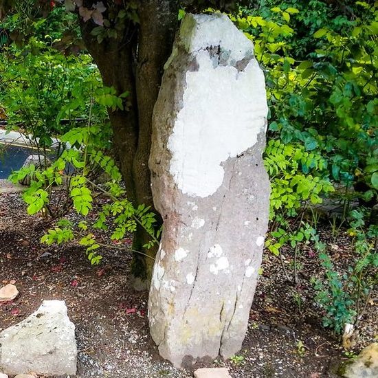 Ogham Stone at the Aherlow House Hotel on the Ireland Way Trail